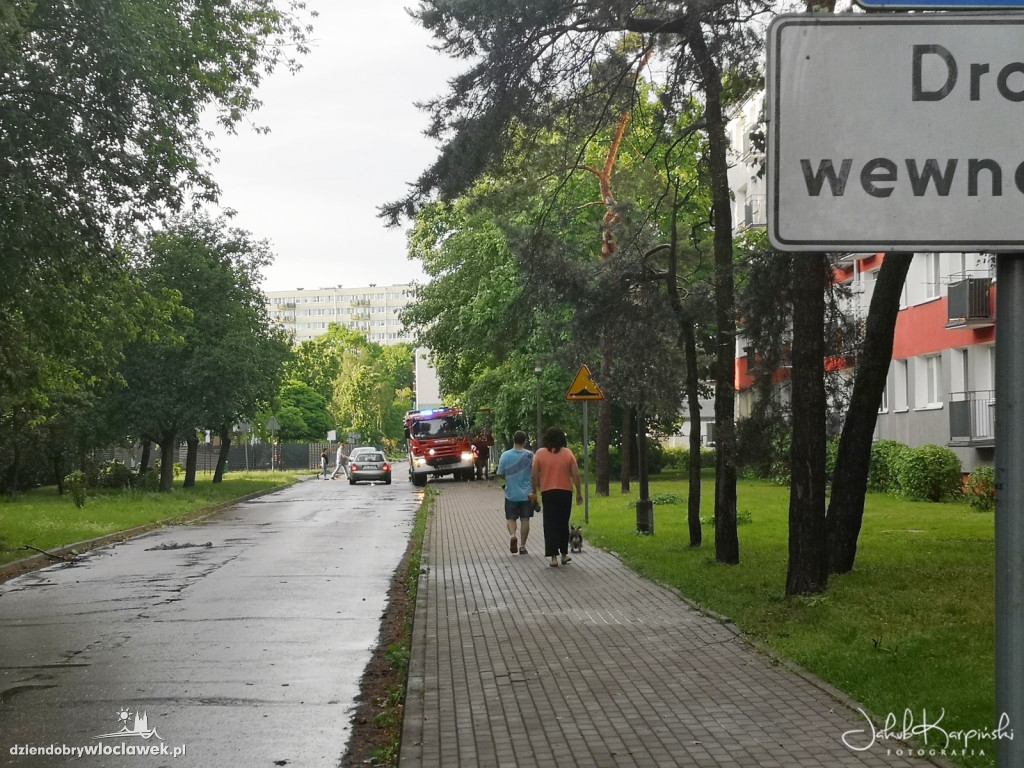 Zazamcze w strzępach. Nawałnica wyrywała drzewa