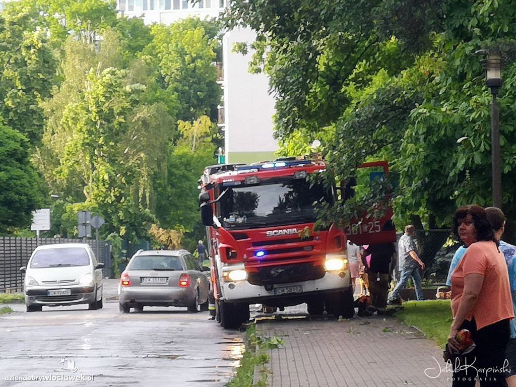 Zazamcze w strzępach. Nawałnica wyrywała drzewa