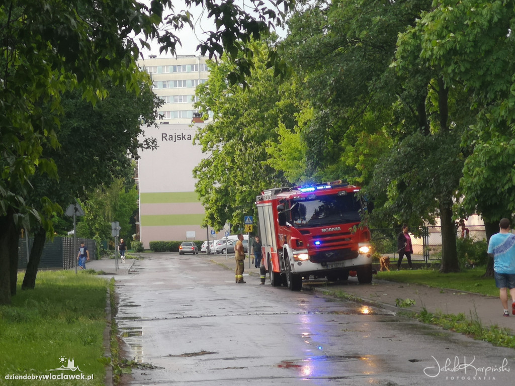 Zazamcze w strzępach. Nawałnica wyrywała drzewa