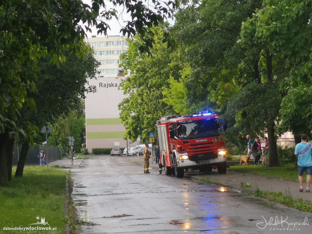 Zazamcze w strzępach. Nawałnica wyrywała drzewa