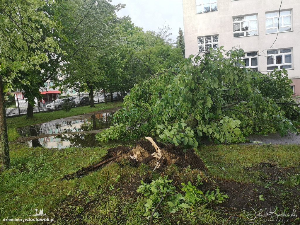 Zazamcze w strzępach. Nawałnica wyrywała drzewa