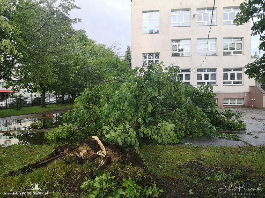 Zazamcze w strzępach. Nawałnica wyrywała drzewa