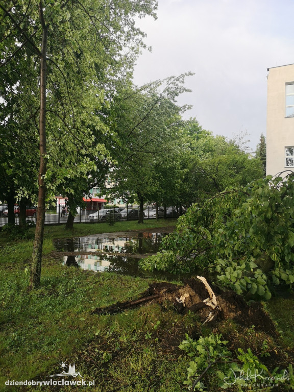 Zazamcze w strzępach. Nawałnica wyrywała drzewa