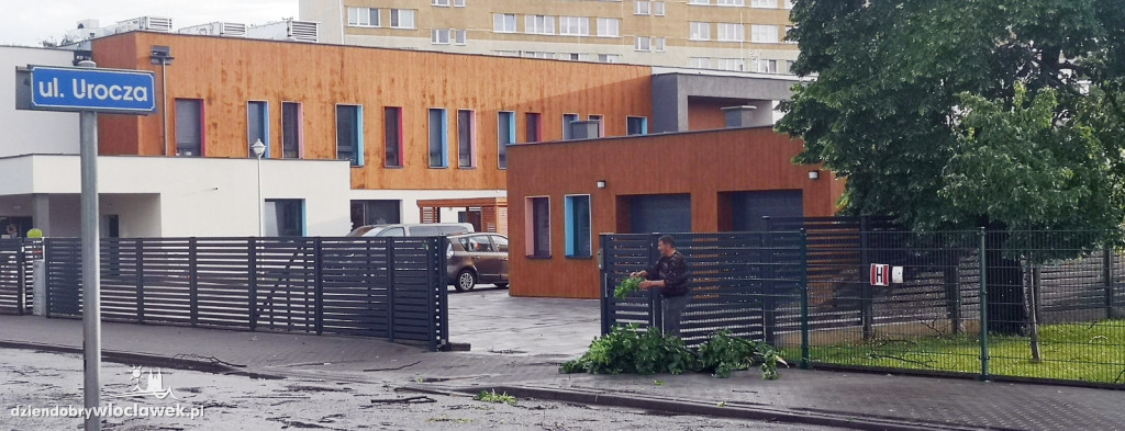 Zazamcze w strzępach. Nawałnica wyrywała drzewa