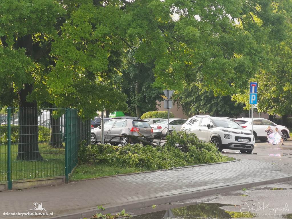 Zazamcze w strzępach. Nawałnica wyrywała drzewa