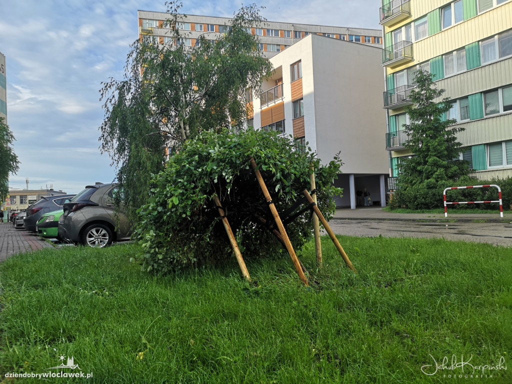 Zazamcze w strzępach. Nawałnica wyrywała drzewa