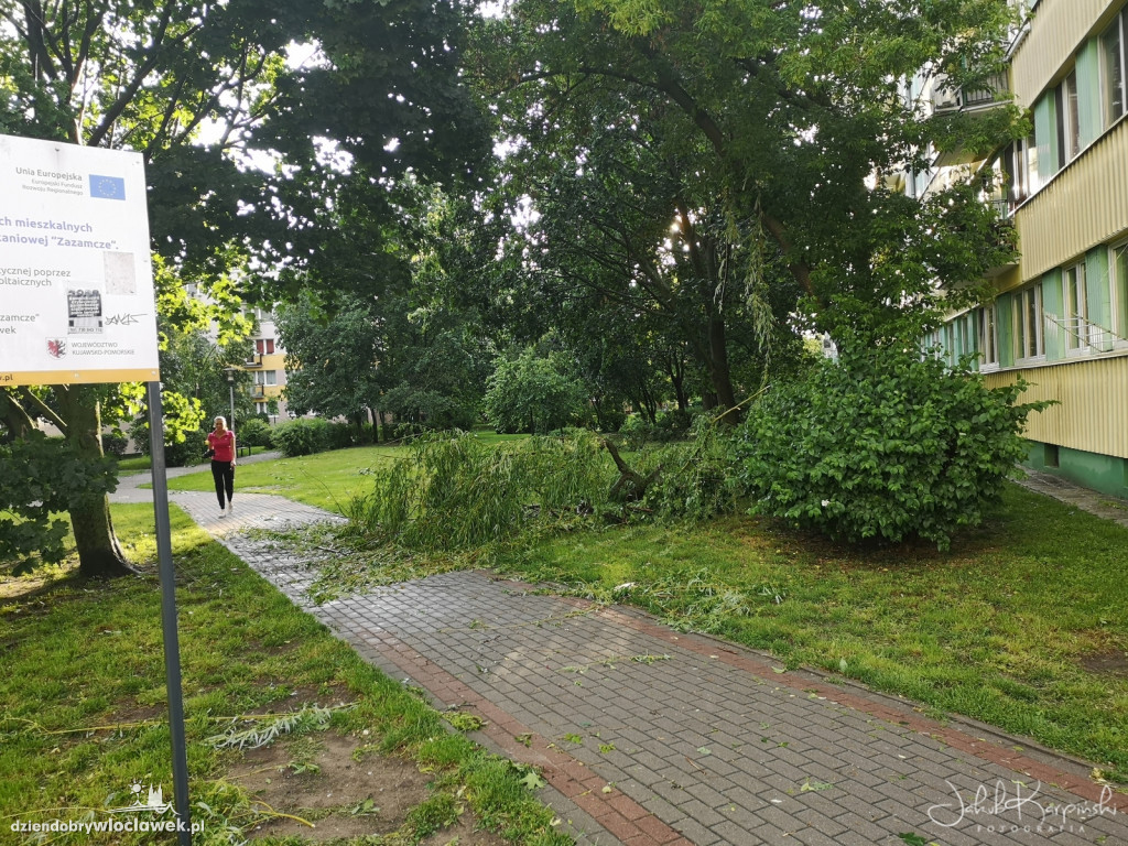 Zazamcze w strzępach. Nawałnica wyrywała drzewa