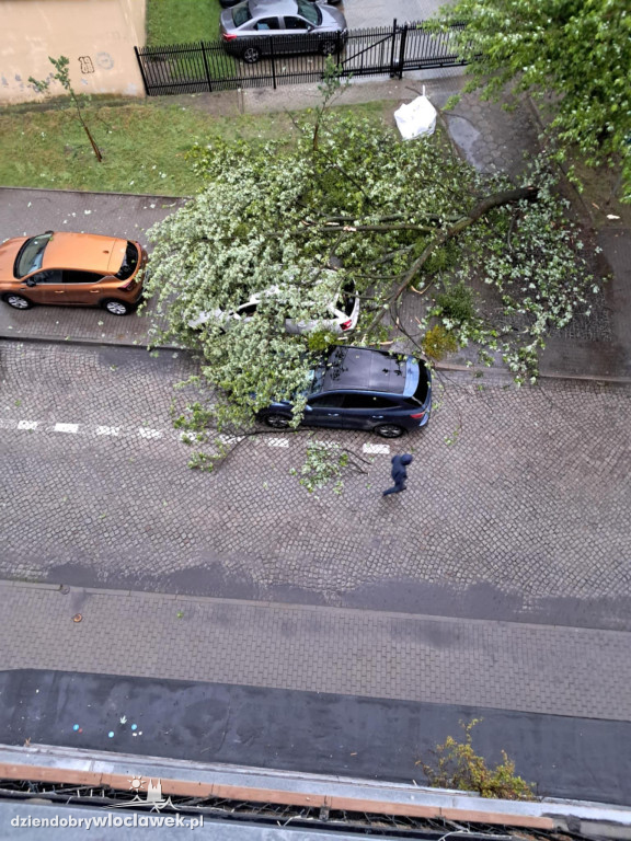 Skutki burzy we Włocławku