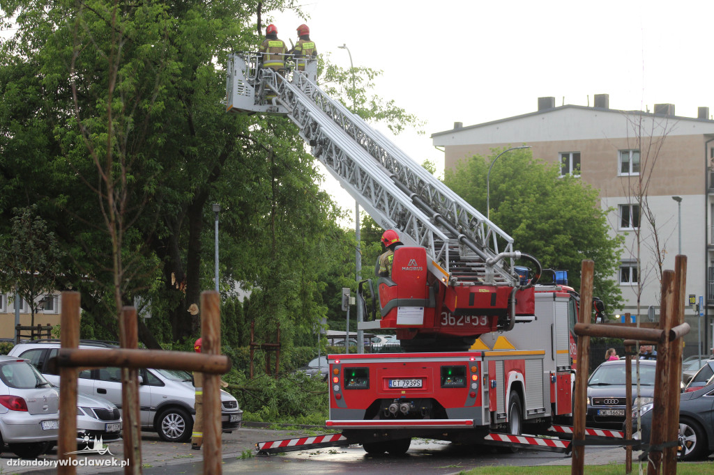 Strażacy w akcji po nawałnicy we Włocławku
