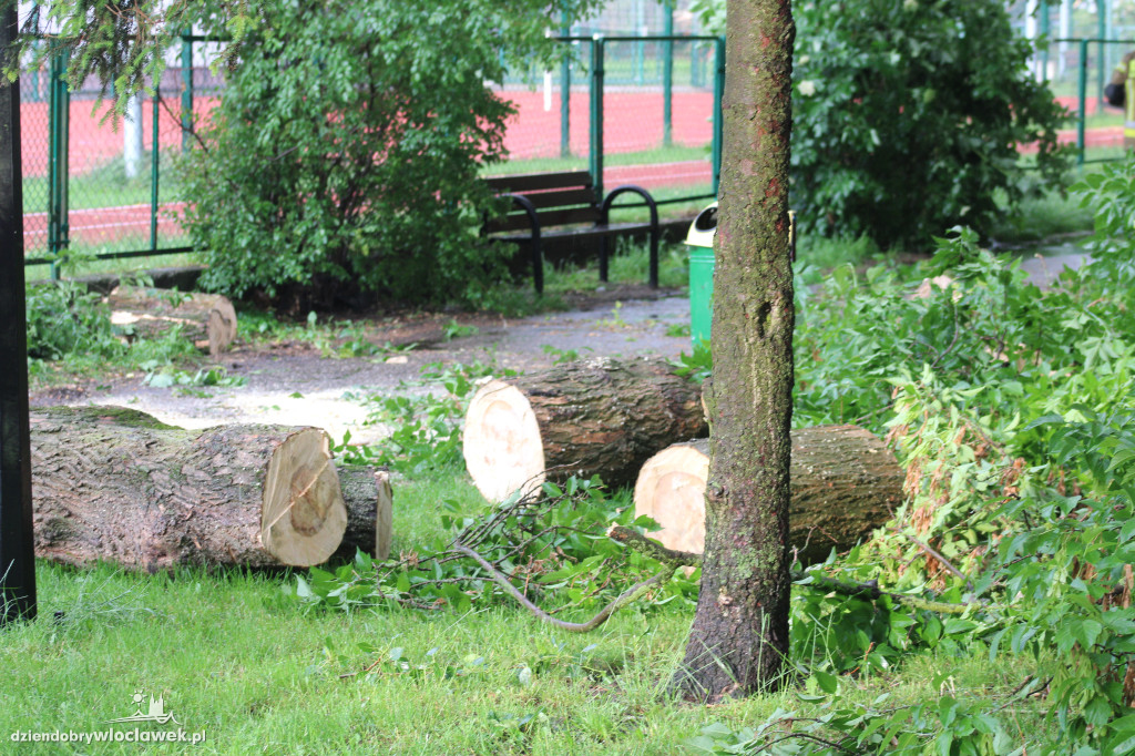 Strażacy w akcji po nawałnicy we Włocławku