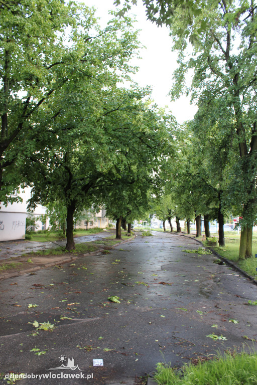 Strażacy w akcji po nawałnicy we Włocławku