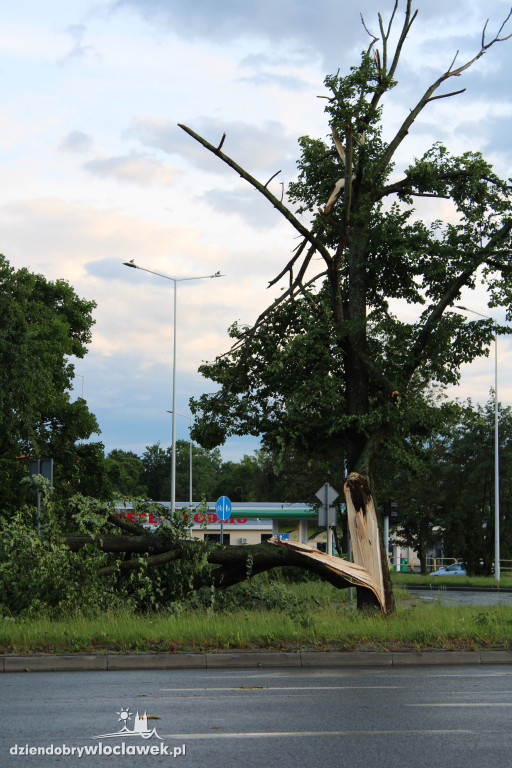 Strażacy w akcji po nawałnicy we Włocławku