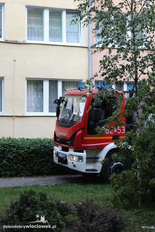 Strażacy w akcji po nawałnicy we Włocławku