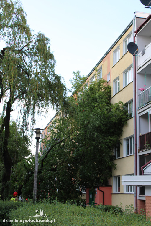 Strażacy w akcji po nawałnicy we Włocławku