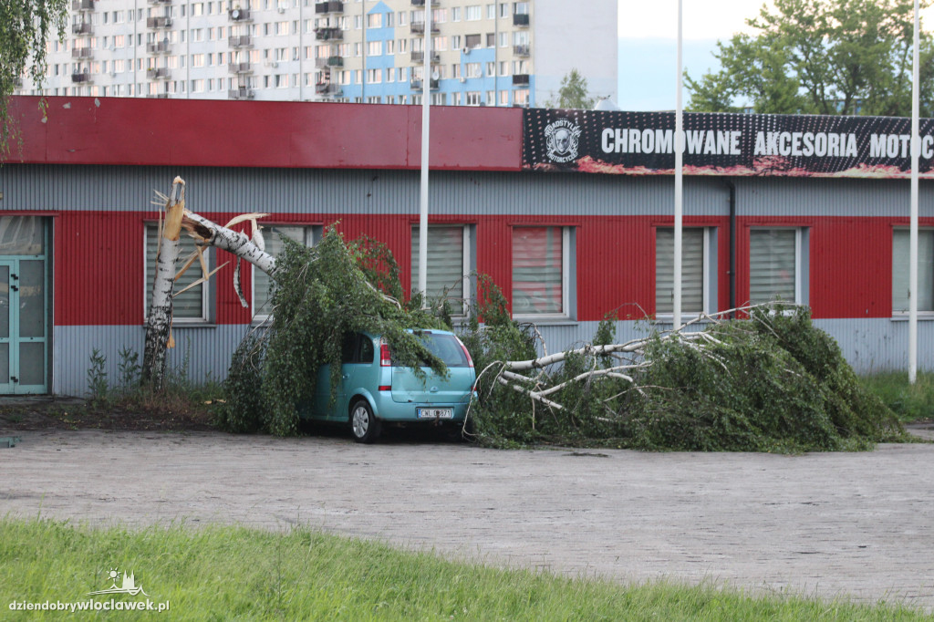 Strażacy w akcji po nawałnicy we Włocławku