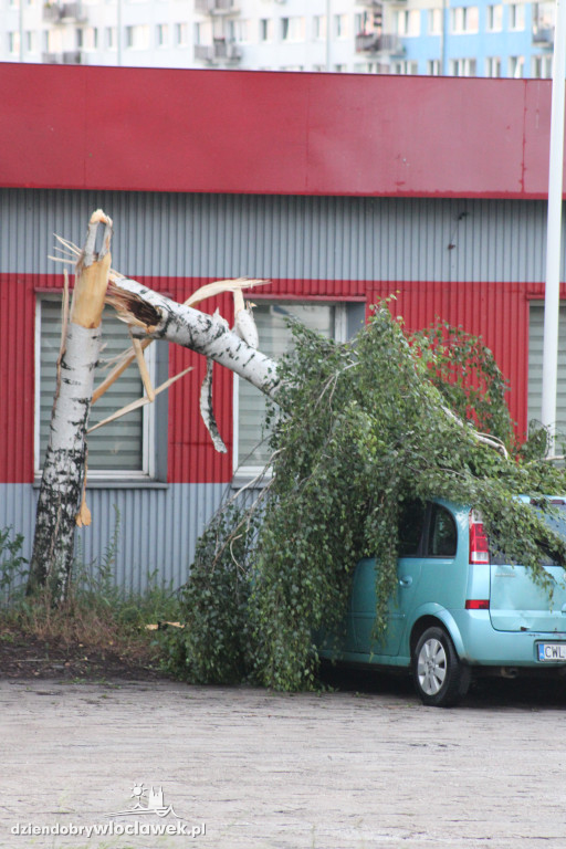 Strażacy w akcji po nawałnicy we Włocławku