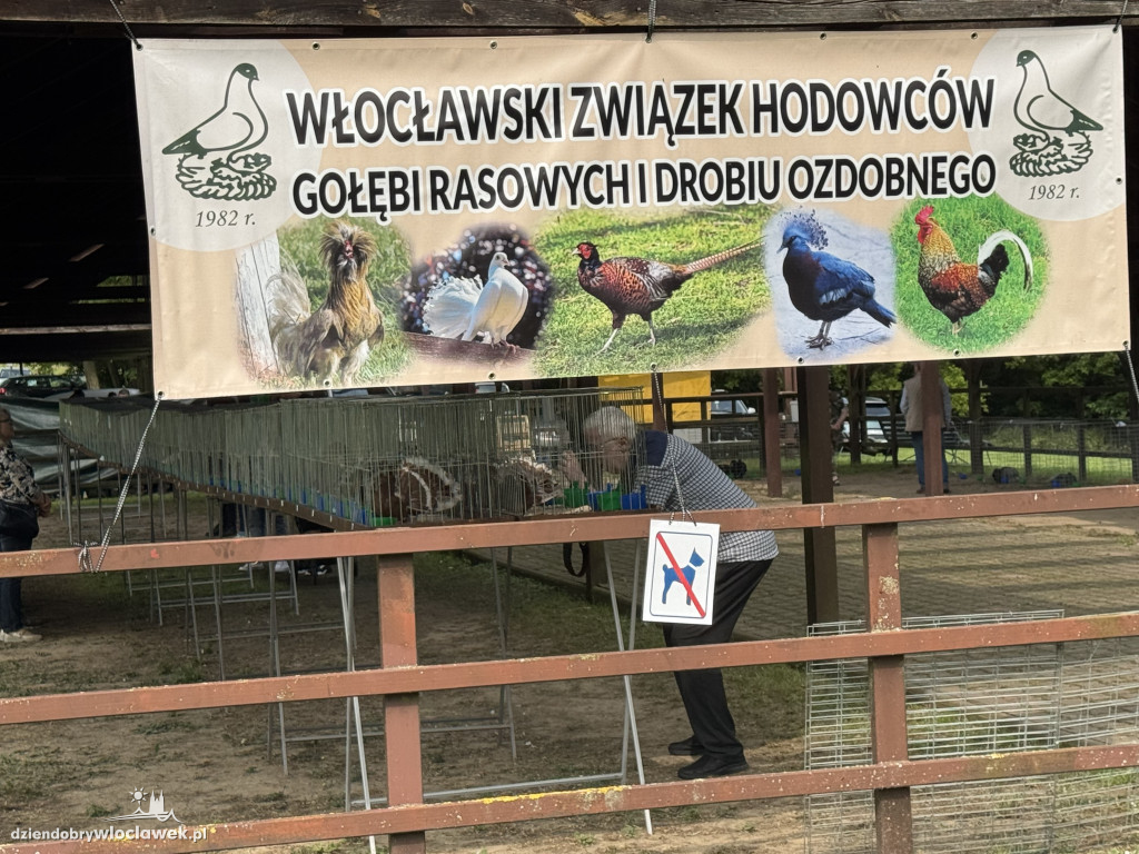 Tłumy rolników i mieszczuchów w Zarzeczewie. Trwają targi