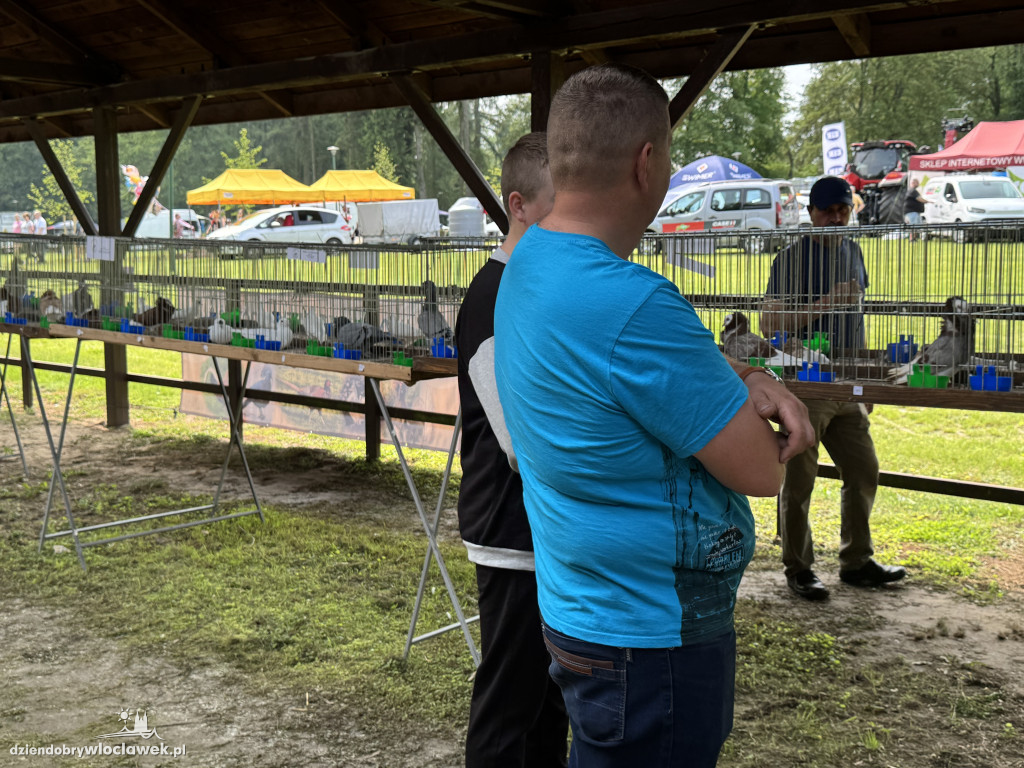 Tłumy rolników i mieszczuchów w Zarzeczewie. Trwają targi