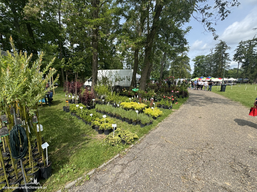 Tłumy rolników i mieszczuchów w Zarzeczewie. Trwają targi