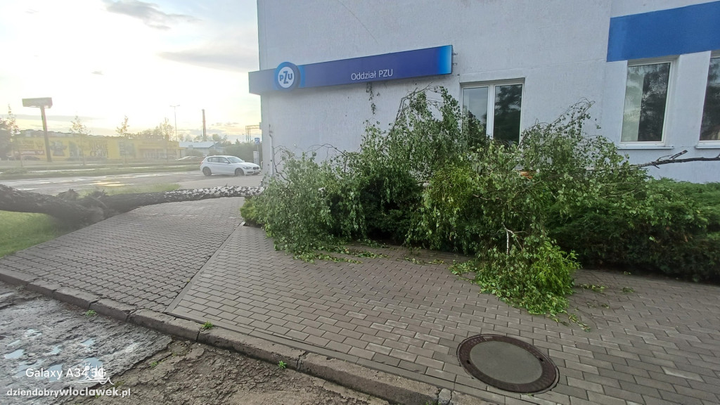 Skutki burzy we Włocławku