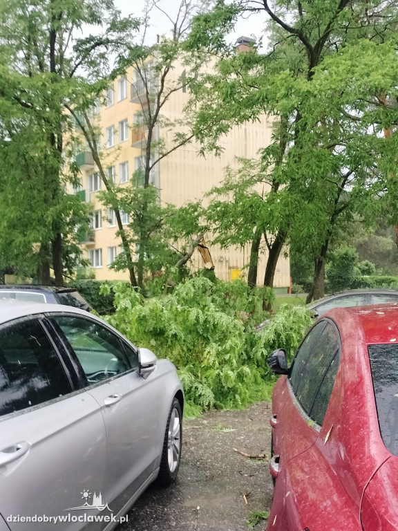 Skutki burzy we Włocławku