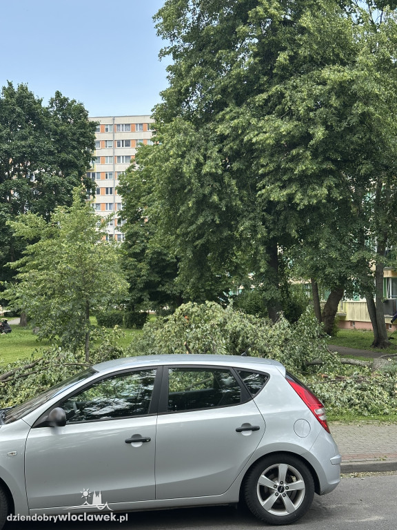 Drzewa jak zapałki, ziemia jak po huraganie. Tak wygląda Zazamcze