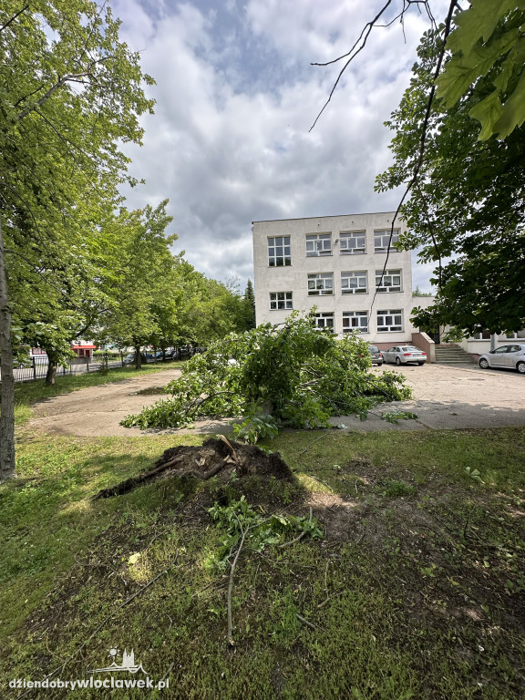 Drzewa jak zapałki, ziemia jak po huraganie. Tak wygląda Zazamcze