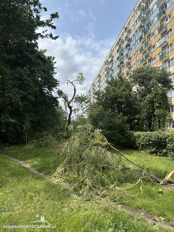 Drzewa jak zapałki, ziemia jak po huraganie. Tak wygląda Zazamcze