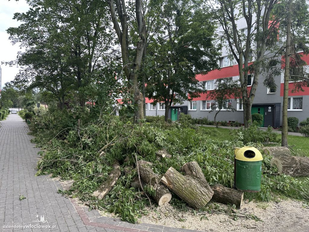 Drzewa jak zapałki, ziemia jak po huraganie. Tak wygląda Zazamcze