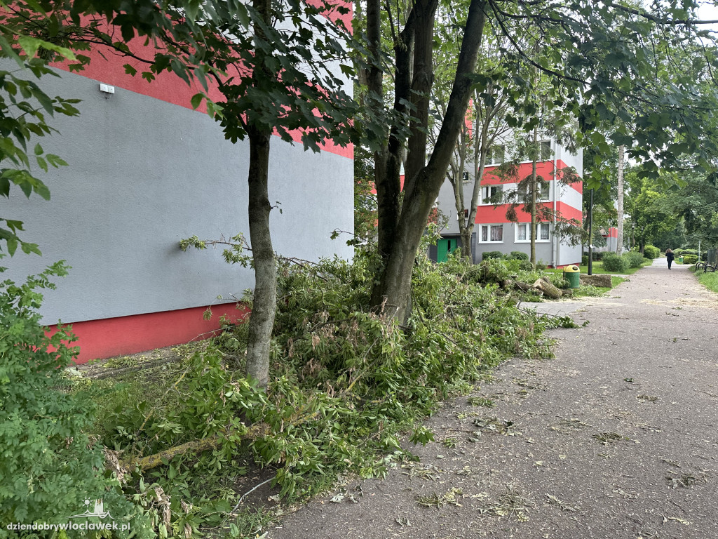 Drzewa jak zapałki, ziemia jak po huraganie. Tak wygląda Zazamcze