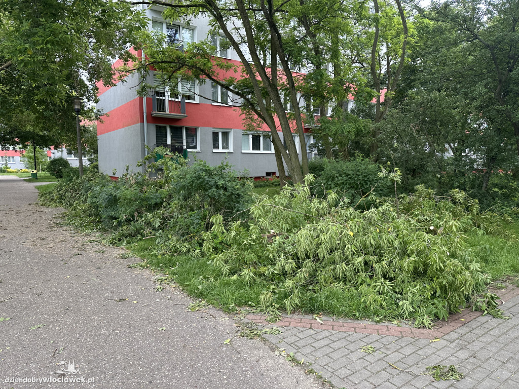 Drzewa jak zapałki, ziemia jak po huraganie. Tak wygląda Zazamcze