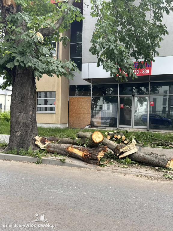 Drzewa jak zapałki, ziemia jak po huraganie. Tak wygląda Zazamcze