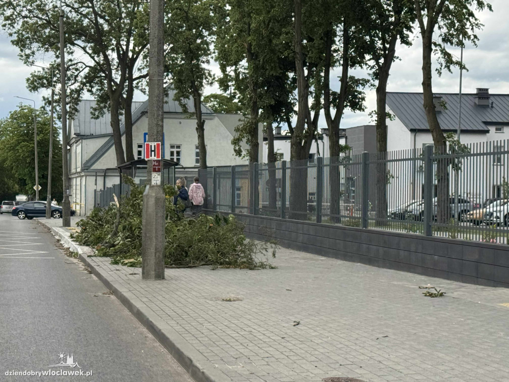 Drzewa jak zapałki, ziemia jak po huraganie. Tak wygląda Zazamcze