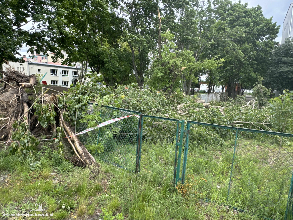 Drzewa jak zapałki, ziemia jak po huraganie. Tak wygląda Zazamcze