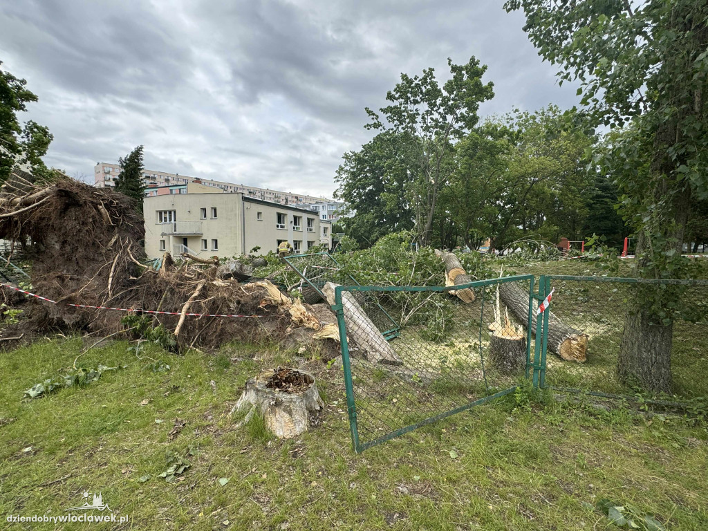 Drzewa jak zapałki, ziemia jak po huraganie. Tak wygląda Zazamcze
