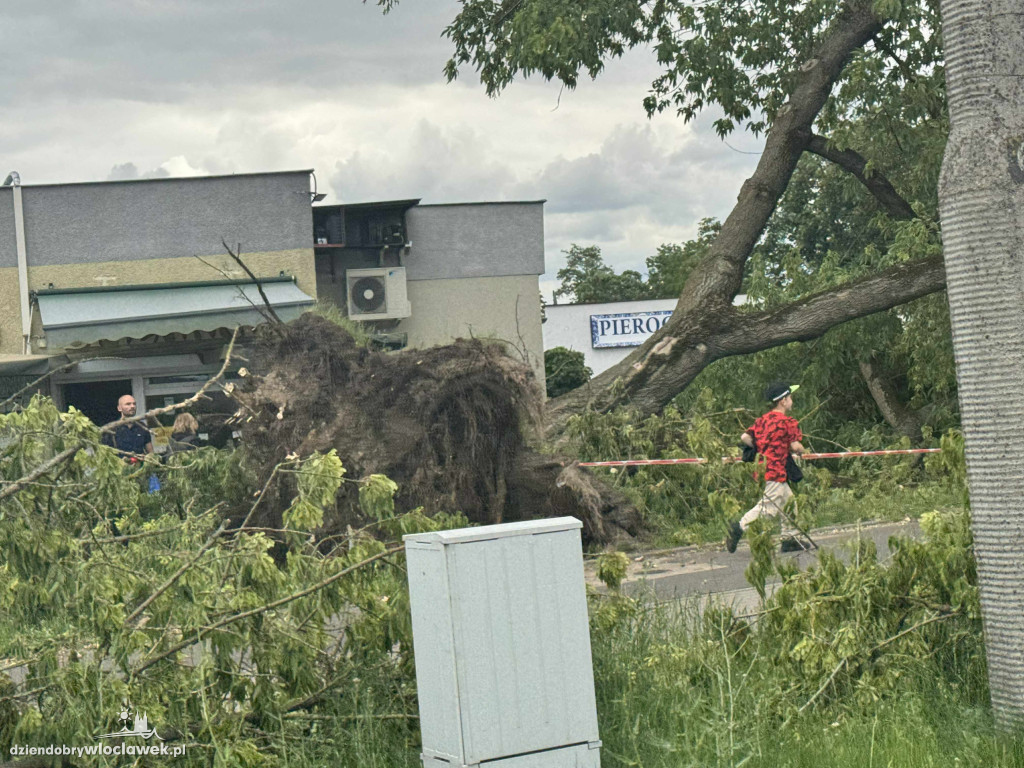 Drzewa jak zapałki, ziemia jak po huraganie. Tak wygląda Zazamcze