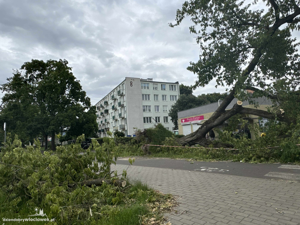 Drzewa jak zapałki, ziemia jak po huraganie. Tak wygląda Zazamcze