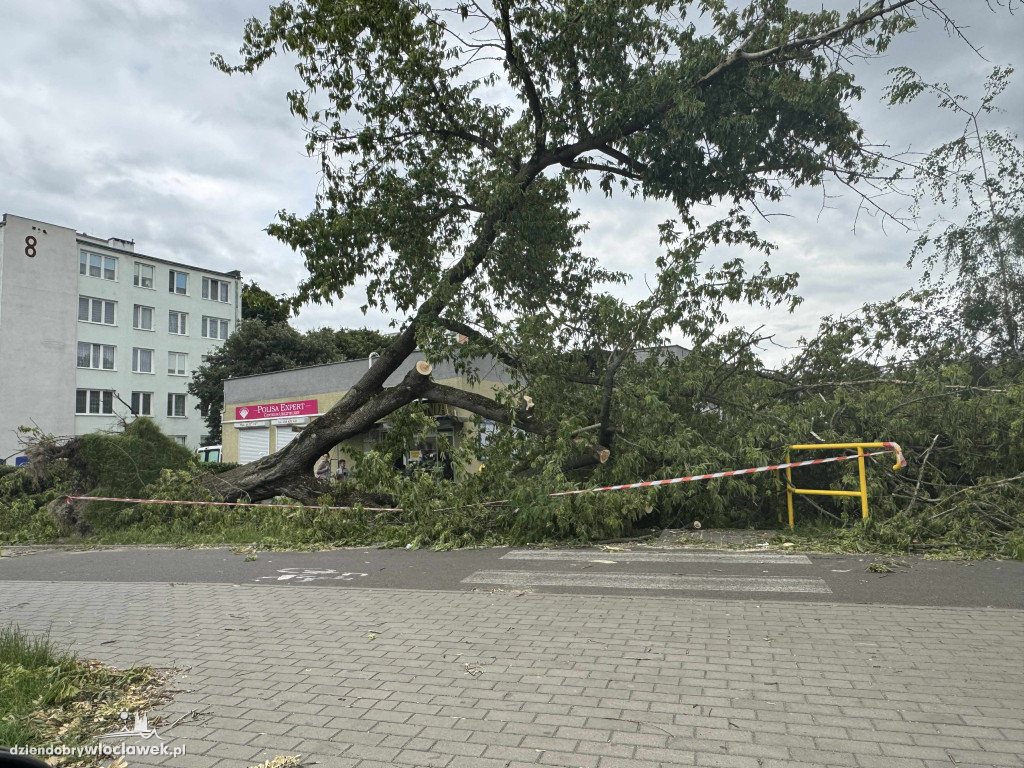Drzewa jak zapałki, ziemia jak po huraganie. Tak wygląda Zazamcze