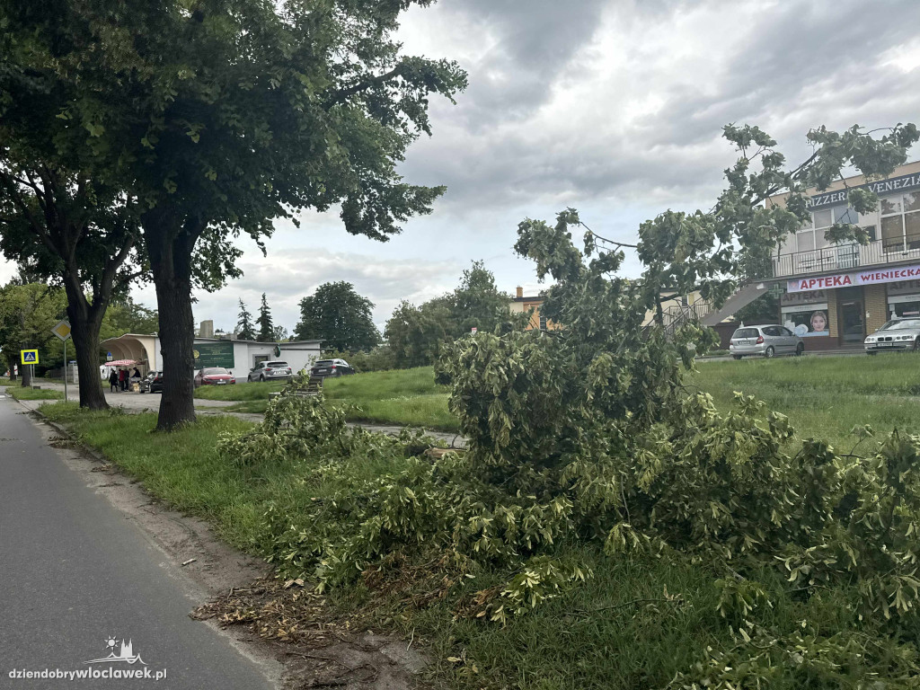 Drzewa jak zapałki, ziemia jak po huraganie. Tak wygląda Zazamcze