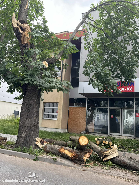 Drzewa jak zapałki, ziemia jak po huraganie. Tak wygląda Zazamcze