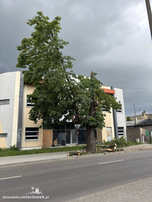 Drzewa jak zapałki, ziemia jak po huraganie. Tak wygląda Zazamcze