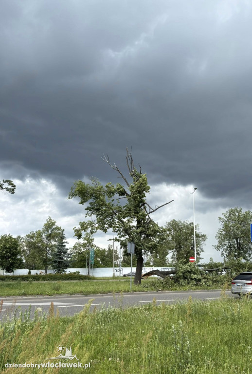 Drzewa jak zapałki, ziemia jak po huraganie. Tak wygląda Zazamcze