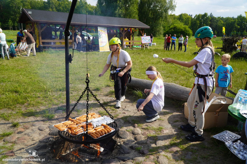 Piknik Wolontariatu