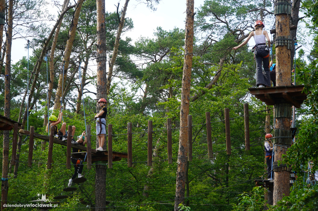 Piknik Wolontariatu