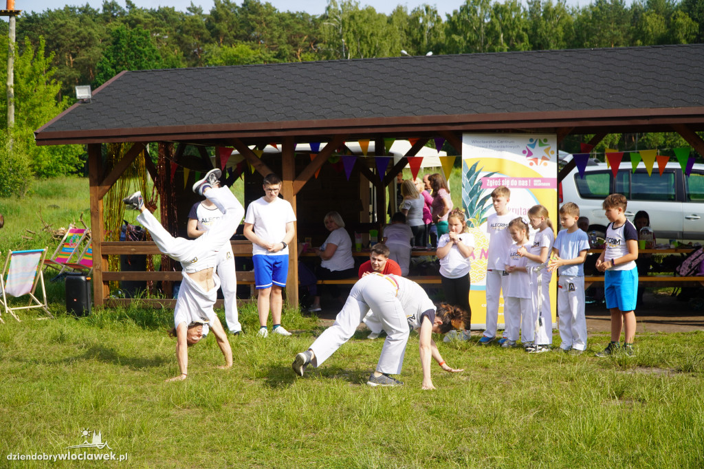 Piknik Wolontariatu