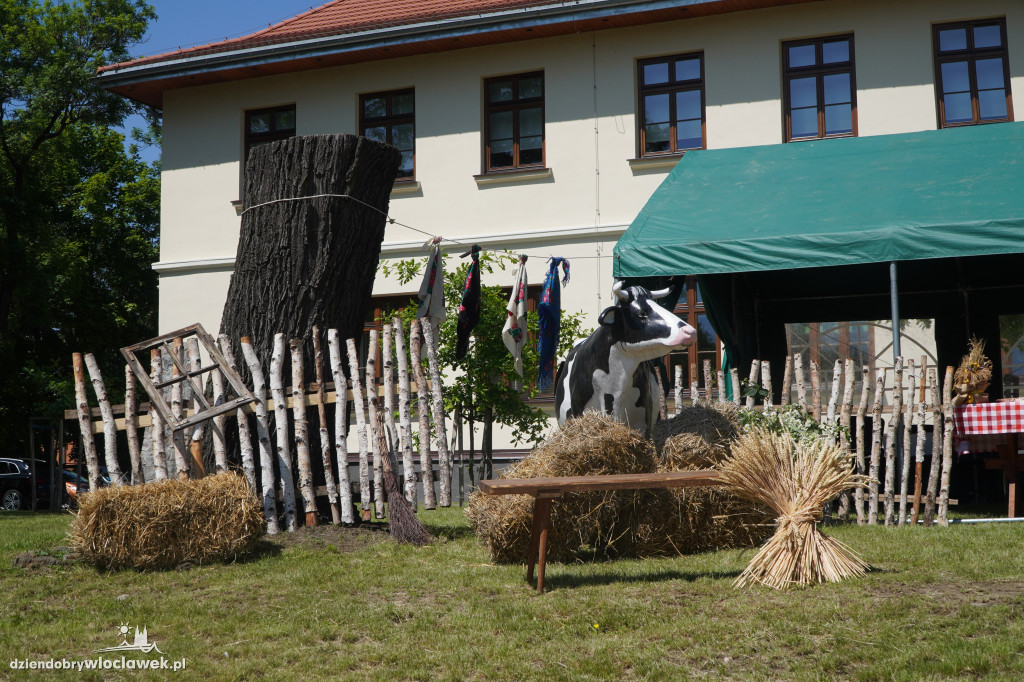 Święto Żuru w Starym Brześciu