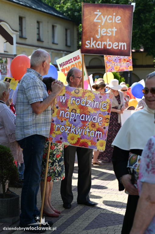 VI Marsz dla Życia i Rodziny