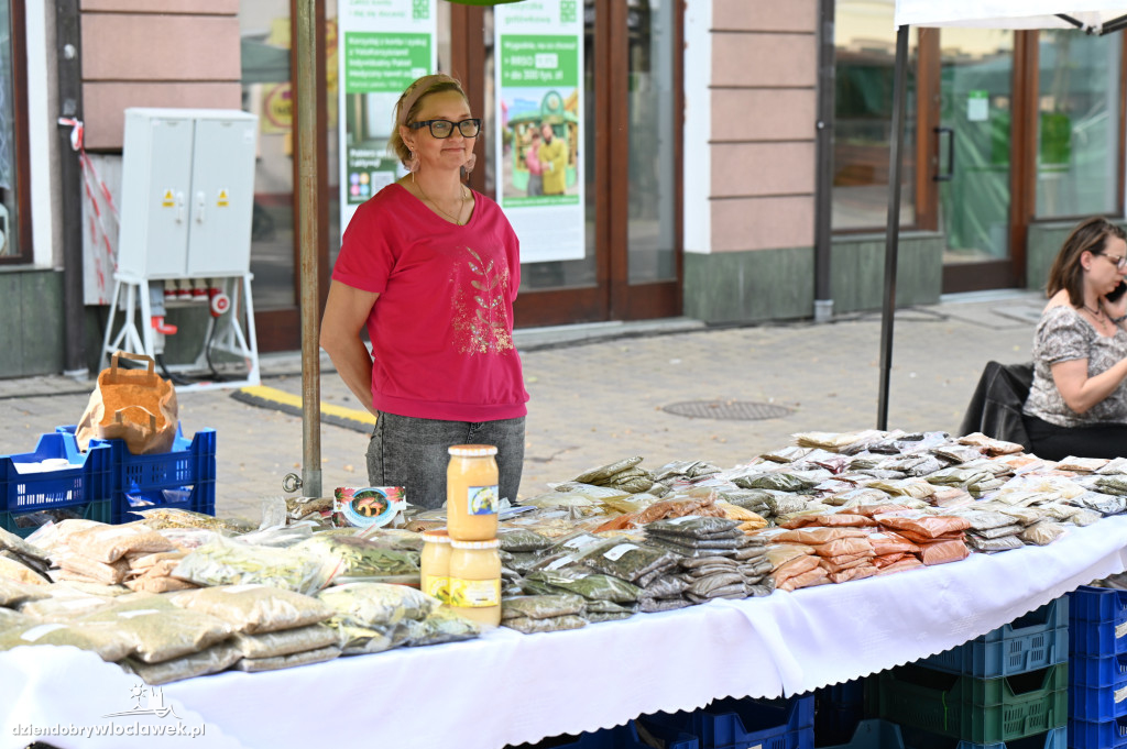 Dni Włocławka 2025: jarmark, teatry uliczne i zabawa