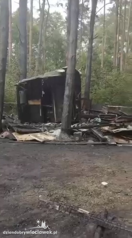 Pożar domków i lasu nad jeziorem Wójtowskim