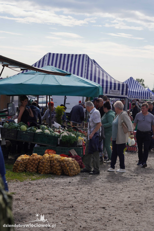 Pchli Targ we Włocławku - 13 lipca